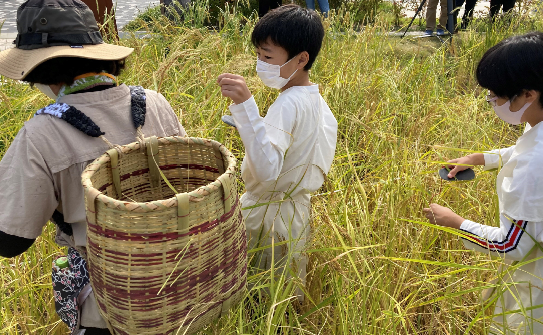 収穫体験に参加した子どもたちのサポート