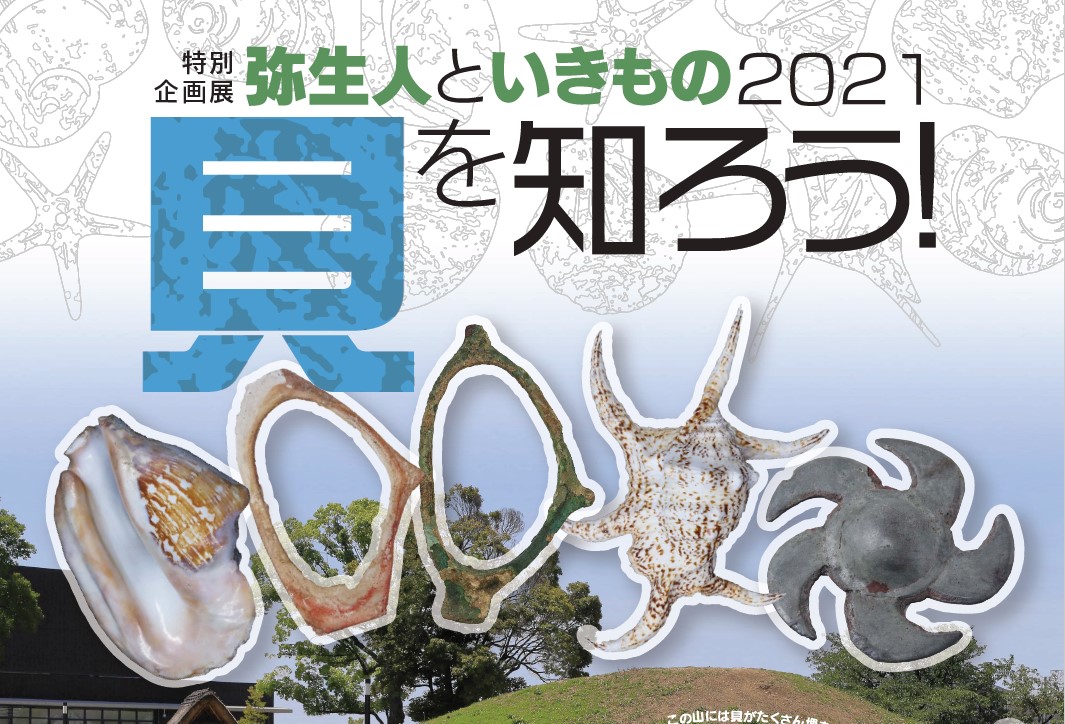 あいち朝日遺跡ミュージアム 特別企画展 弥生人といきもの21 貝を知ろう 開催概要 あいち朝日遺跡ミュージアム 特別企画展 弥生人といきもの21 貝を知ろう 開催概要